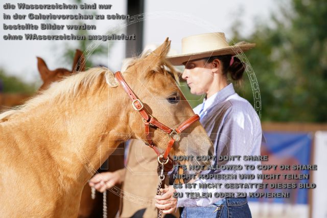 s_K3F05216.JPG